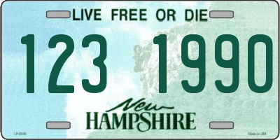 NH license plate 1231990