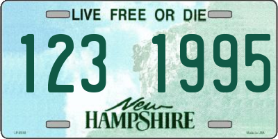 NH license plate 1231995