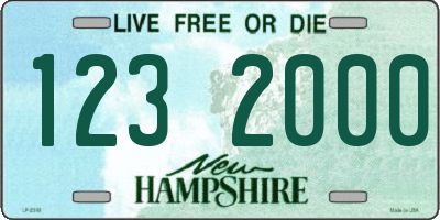 NH license plate 1232000