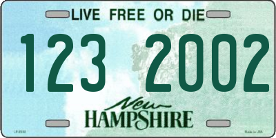 NH license plate 1232002