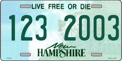 NH license plate 1232003