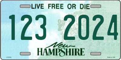 NH license plate 1232024