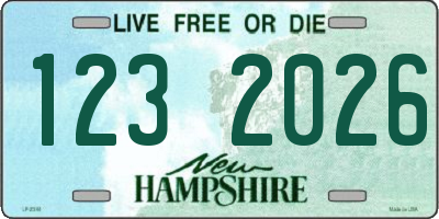 NH license plate 1232026