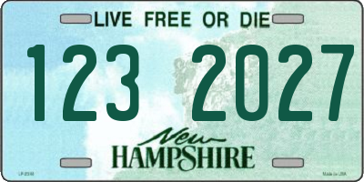 NH license plate 1232027