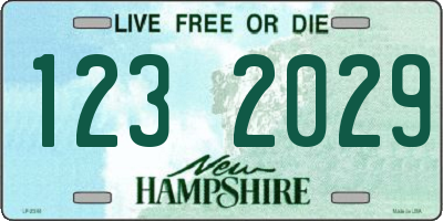 NH license plate 1232029