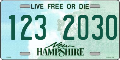 NH license plate 1232030