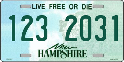 NH license plate 1232031
