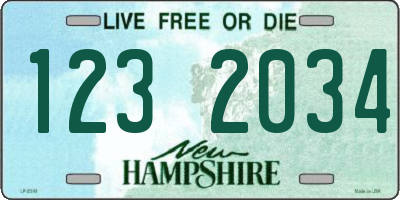 NH license plate 1232034