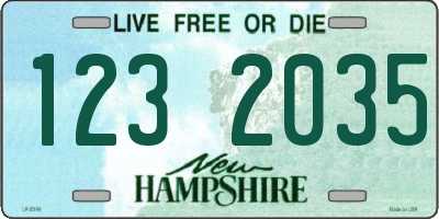 NH license plate 1232035