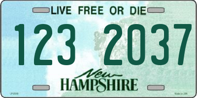 NH license plate 1232037