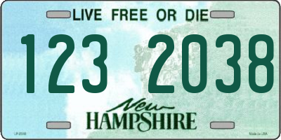 NH license plate 1232038
