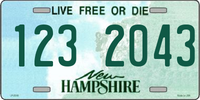 NH license plate 1232043