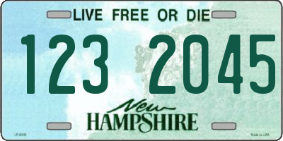 NH license plate 1232045