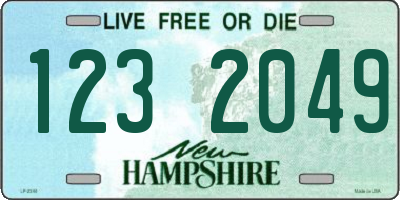 NH license plate 1232049