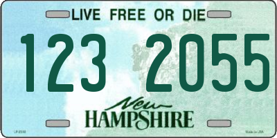 NH license plate 1232055