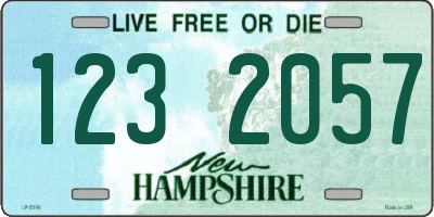 NH license plate 1232057