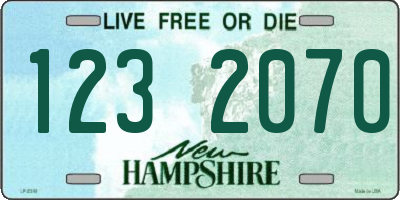 NH license plate 1232070