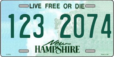 NH license plate 1232074