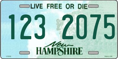 NH license plate 1232075