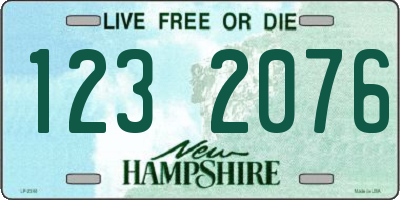 NH license plate 1232076