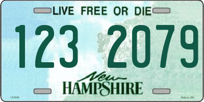 NH license plate 1232079