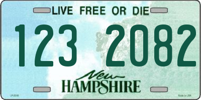 NH license plate 1232082