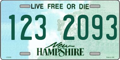 NH license plate 1232093