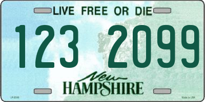 NH license plate 1232099