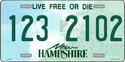 NH license plate 1232102