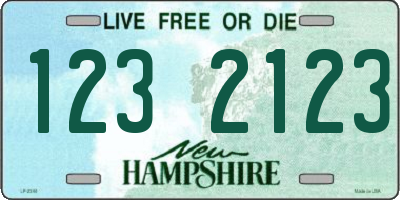 NH license plate 1232123