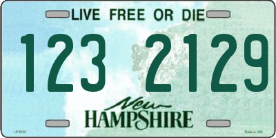 NH license plate 1232129