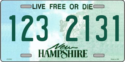 NH license plate 1232131