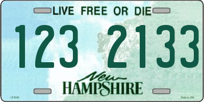 NH license plate 1232133