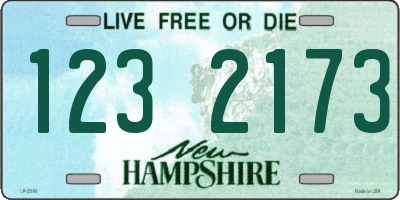 NH license plate 1232173
