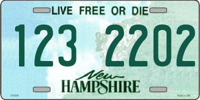 NH license plate 1232202