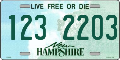 NH license plate 1232203