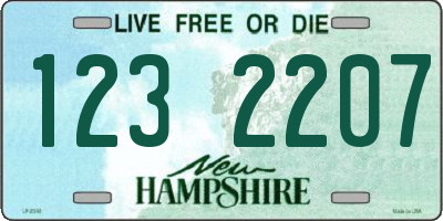 NH license plate 1232207