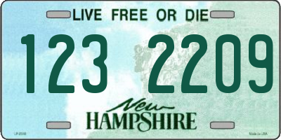 NH license plate 1232209