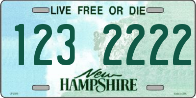 NH license plate 1232222