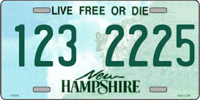 NH license plate 1232225