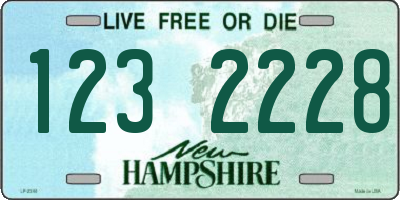 NH license plate 1232228
