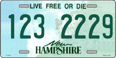 NH license plate 1232229