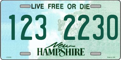 NH license plate 1232230