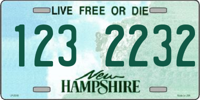 NH license plate 1232232