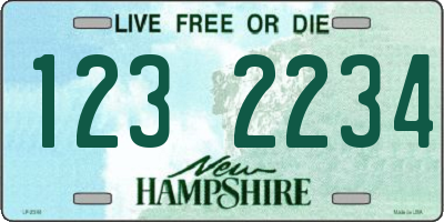 NH license plate 1232234