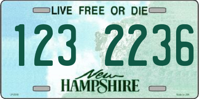 NH license plate 1232236