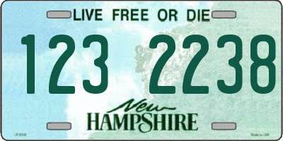 NH license plate 1232238