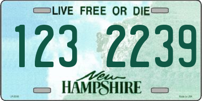 NH license plate 1232239