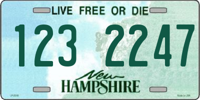 NH license plate 1232247