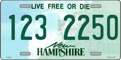 NH license plate 1232250